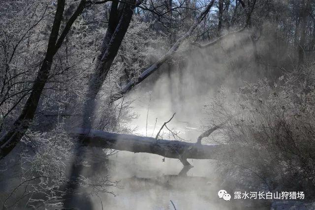 潮人篮球